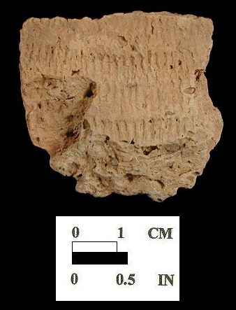 Townsend Series fabric-impressed body sherds (1 of 2) from the Nassawango site 18WO23/5.