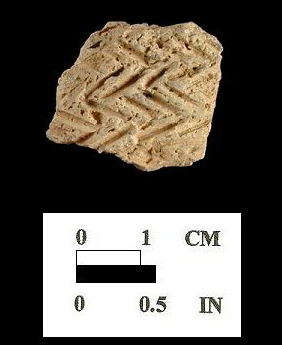 Townsend Series incised sherd from the Nassawango site 18WO23/5. 