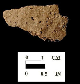 Townsend Series body sherd with smoothed exterior from the Nassawango site 18WO23/5.