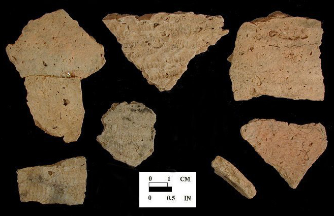 Townsend Series Rappahannock fabric-impressed body sherds from Miller site 18WC68/9.