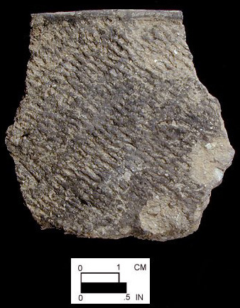 Townsend Series Rappahannock fabric-impressed rim sherd from Maddox Island 2, site 18SO240.