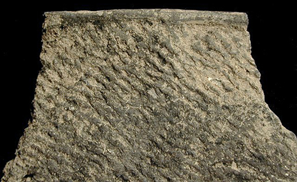 Close-up of Townsend Series Rappahannock fabric-impressed rim sherd from Maddox Island 2, site 18SO240.