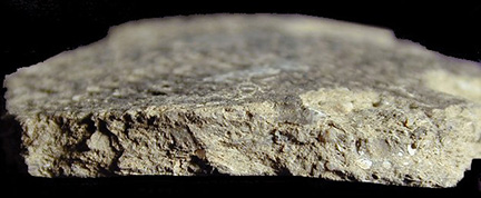 Townsend Series Rappahannock fabric-impressed rim sherd paste cross-section from Maddox Island 2, site 18SO240.