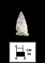 Brewerton Eared Notched, Webb Collection.