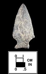 Susquehanna Broadspear, Webb Collection.