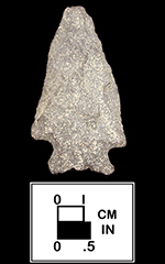 Susquehanna Broadspear-18TA3.