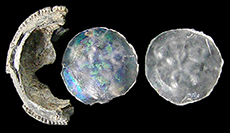 Pewter setting fragment with two surviving colorless insets molded with a floral pattern.