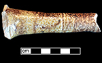 English brown salt glaze stoneware pipkin hollow handle with iron oxide slip. Lot 1 - 18AN39.
