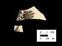 Bat transfer printed body sherds, vessel #6213 from 18PR175.