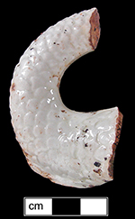 Molded creamware dolphin body collected by George L. Miller in 1986 in Staffordshire, England, possibly part of candlestick similar to one shown (middle) in 1794 edition of Designs of Sundry Articles of Queen&rsquo;s or Cream-Colour&rsquo;d Earthenware.&nbsp;Could also be part of a tazza (right).