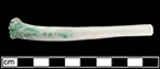 Small ladle, 2.0&rdquo; diameter.&nbsp;Probably for gravy or sauce. Possibly like the illustration on the right.Collected at site of Neale & Co. and Wilson (active 1778-1816) by George Miller in 1986.