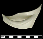 Unidentified hollow vessel, 4.5&rdquo; rim diameter.&nbsp;Possible butter tub&nbsp;(P, 182 leeds book volume I) or top pan for a veilleuse 9 see Buten Wedgwood book page 50 collected at site of Neale & Co. and Wilson (active 1778-1816) by George Miller in 1986.