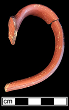 Dry-bodied red stoneware (rosso antico) handle to hollow vessel (probably teapot or jug). Minimum Vessel:179. 18PR175.