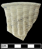 Dry-bodied cream colored stoneware (caneware) hollow vessel that was lidded, possibly a game pie dish - Collected by George L. Miller in 1986 in Staffordshire in Hanley.&nbsp;Cannot be attributed to a specific pottery.