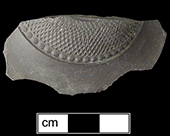 Dry-bodied brown stoneware teapot lid.&nbsp;This vessel is probably a darker of&nbsp;rosso antico -  - Collected by George L. Miller in 1986 in Staffordshire in Burslem.&nbsp;Cannot be attributed to a specific pottery.