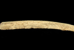 Thumbnail image of a paste shot of refined earthenware ceramic. Click on image to see a larger view.