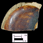 Manganese Mottled mug with view of interior base from Angelica Knolls site 18CV60. This vessel has cordoning on the exterior foot band.