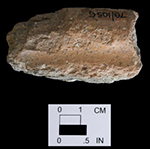 Gravel-tempered rim sherd, interior (left) and exterior (right), bowl. Delaware site 7K-D-48.