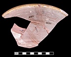 North Devon sgraffito bowl with geometric motifs.  Similar examples from a 1670-1680 context at Jamestown, Virginia, contained a single horizontal loop handle on the rim (Outlaw 200232). 9&rdquo; rim diameter.  Vessel height 2.75&rdquo;. Lots 2, 8, 60, 76, 93.