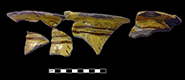 North Devon sgraffito chamberpot  with incised repeating spiral (curlicue) motif along rim.  White slip over red earthenware body, with lead glazed exterior - QV73.