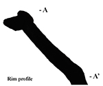 Rim profile.