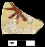 North Midlands slip decorated hollow vessel of indeterminate form. Decorated in asterisk pattern in red slip. Glazed interior and exterior - Collected by George L. Miller in 1986 in Staffordshire, England.