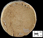 Blue banded galley pot (left) and close up of the base (right).