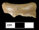 Narrow mouthed container (bottle, flask or jug) with a brown clay slip.