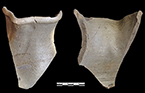 Grey bodied North Carolina Piedmont salt glazed stoneware pitcher.
