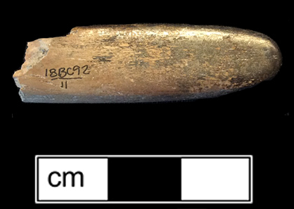 Stock end shows trepanned tunnels that ran the length of the stock. These holes were plugged with wax or cement; in this case some of the plugs are still intact. Guideline channels for drilling the bristle holes are also visible along some of the rows. Trench 1-A, Level 3. Lot 11. 18BC92