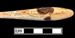 Bone handle with teardrop shape toothbrush with wire drawn attachment and copper alloy staining on back. Stamped on front: “England” near stock and “Hochschild Kohn & Co. Baltimore” and “Drawn Wire/Sterling/Silver Wire” on handle. 18BC92