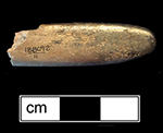 Stock end shows trepanned tunnels that ran the length of the stock. These holes were plugged with wax or cement; in this case some of the plugs are still intact. Guideline channels for drilling the bristle holes are also visible along some of the rows. Trench 1-A, Level 3. Lot 11. 18BC92