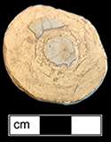 Tin glazed earthenware knobbed lid that has been shaped into a gaming piece - from 18CV91.